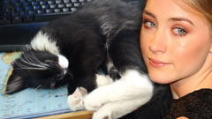 Woman cats Actress saoirse ronan