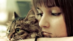 Woman cats Animals bored