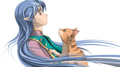 Woman cats Banner of