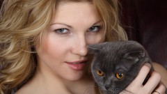 Woman cats British Shorthair models