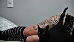 Woman cats socks legs tattoos panties striped legwear