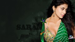 Woman Celebrity Actress models photo shoot cleavage bikini