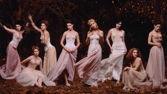 Woman Celebrity Alyssa Milano Sarah Michelle Gellar Katie 