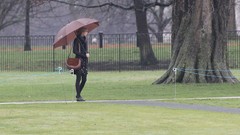 Woman Celebrity blondes taylor swift singers