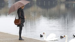 Woman Celebrity blondes taylor swift singers