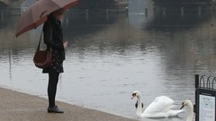 Woman Celebrity blondes taylor swift singers