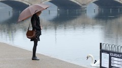 Woman Celebrity blondes taylor swift singers