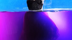 Woman Celebrity Selena Gomez