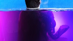 Woman Celebrity Selena Gomez