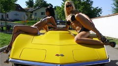 Woman Corvette bikini