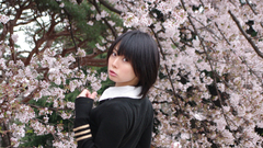 Woman cosplay Japanese asians