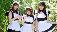 Woman cosplay maids Japanese