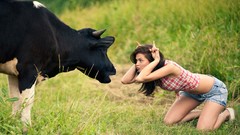 Woman Cows denim shorts stupidity cowgirls
