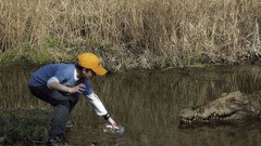 Woman Crocodiles