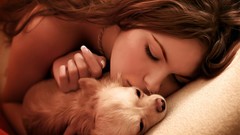 Woman Dogs chihuahua brunettes HDR Photography