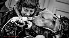 Woman Dogs monochrome