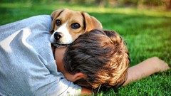 Woman Dogs Parks brunettes short hair lying down girls in nature