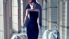 Woman Dogs Scarlett Johansson GS Actress