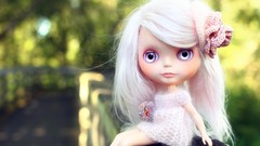 Woman dolls widescreen blondes