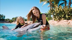Woman Dolphins palm trees