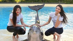 Woman Dolphins smiling barefoot brunettes kendall jenner kylie 