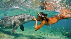 Woman Dolphins underwater kissing bikini