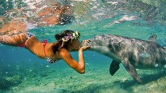 Woman Dolphins underwater kissing brunettes bikini flower crowns