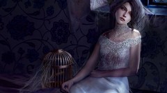 Woman dress cage artwork