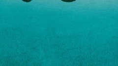 Woman dress Jennifer Love Hewitt reflections brunettes black 