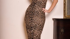 Woman dress stockings brunettes