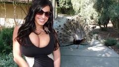 Woman dress sunglasses outdoors brunettes models cleavage boobs 