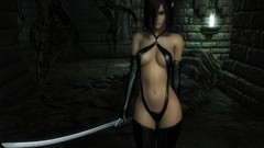 Woman elves Swords mod video games long ears The Elder Scrolls 