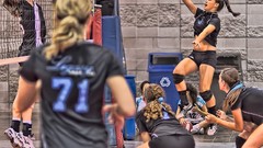 Woman faces blondes brunettes