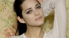 Woman faces blue eyes brunettes marion cotillard portraits