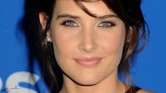 Woman faces cobie smulders