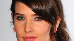 Woman faces cobie smulders brunettes