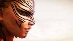 Woman faces the elder scrolls v skyrim video games