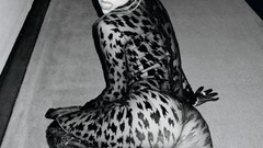 Woman fashion lady gaga magazines catsuits