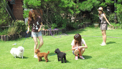 Woman grass Girls Generation