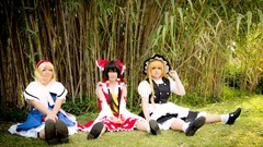 Woman hakurei reimu touhou kirisame marisa alice margatroid 