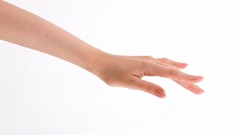 Woman hands white background