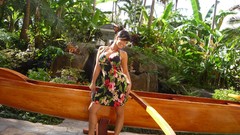 Woman Hawaii brunettes denise milani