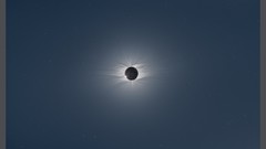 Woman Holes Beaches blondes brunettes