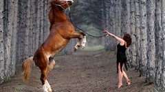 Woman Horses roads girls with horses