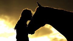 Woman Horses silhouettes shadows