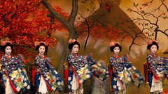 Woman Japan geisha Japanese clothes