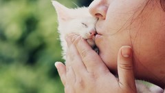 Woman Kittens kissing
