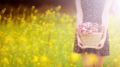 Woman legs blondes artwork