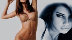 Woman lingerie brunettes brazilian models adriana lima smiley 