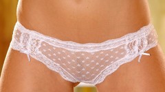 Woman lingerie brunettes models panties